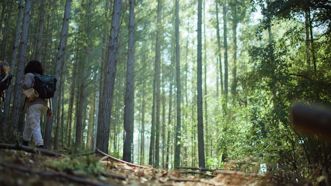 情侶在森林裡行山