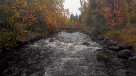 Down-Stream-flow-between-rocky-terrain-amidst-yellow-orange-forest-during-Autumn-in-Lycksele,-Lapland,-Sweden---Aerial-fly-over-shot