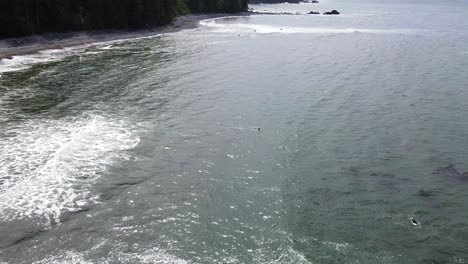 Surfers-looking-for-the-perfect-wave-at-Sombrio-Beach-on-a-slightly-cloudy-spring-day-in-Canada