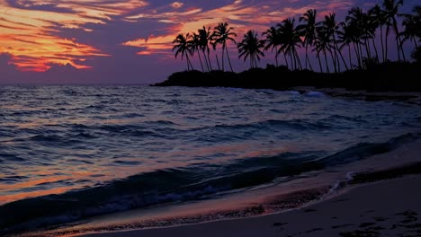 A serene beach sunset video with vibrant colors and silhouetted palm trees