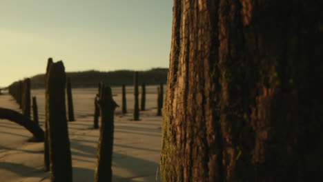 Driftwoods-Standing-On-The-Sand-At-The-Beach-In-Vieira,-Portugal---slow-panning-left-shot