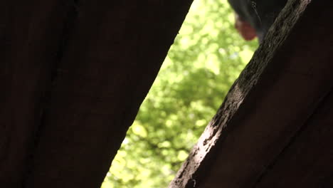 girl steps over gap in wooden bridge in slow motion, in forrest on a summer's day