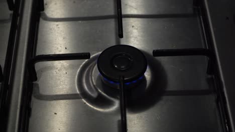 blue flame of stainless gas stove burner blazes to life, then dimmed