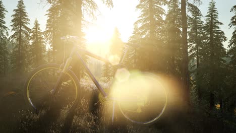 bicycle in mountain forest