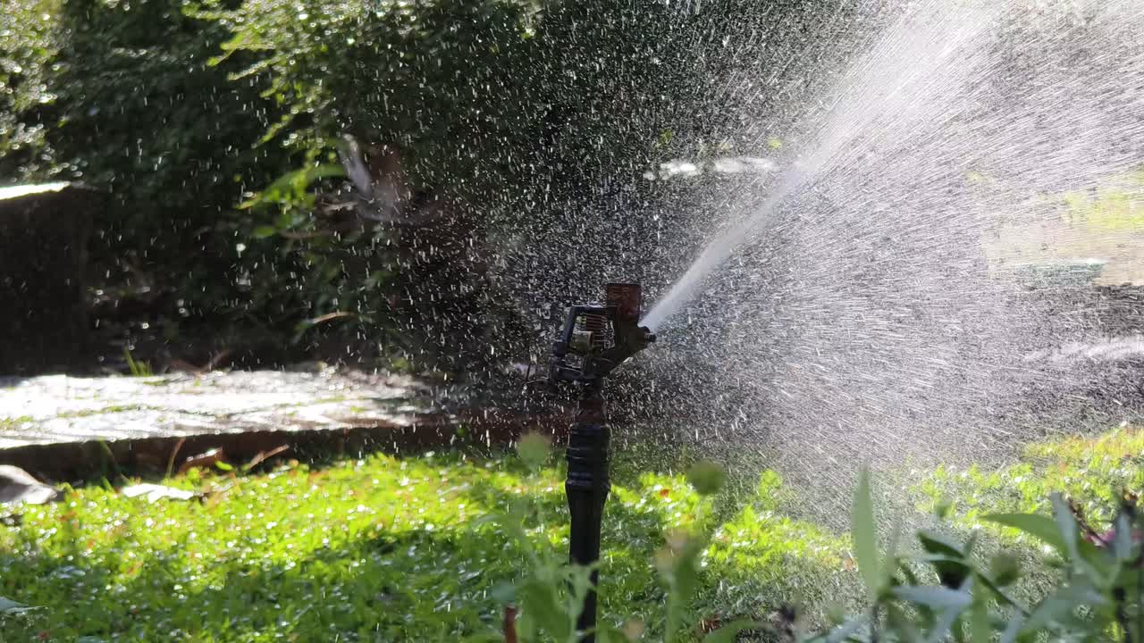 Garden Sprinkler Watering Grass