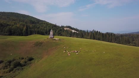 aerial drone footage of sheep grazing peacefully on lush green agricultural landscape near dense forest in switzerland, setting scenic backdrop of rolling hills and picturesque countryside