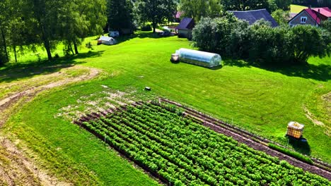 aerial view of rural landscape with a dark soil plantation in farm