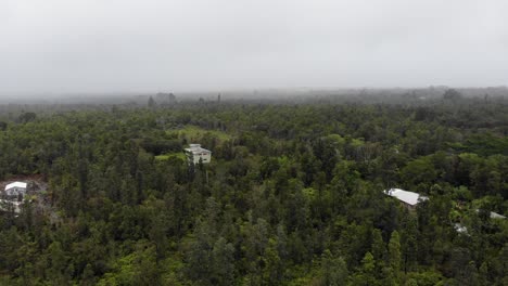 Luftdrohne-Schoss-4k-Vorwärtsbewegung---Hawaiianische-Morgen-Große-Insel-Hawaii---Wälder-Und-Häuser-Von-Ohia