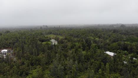 aerial drone shot 4k forward motion - hawaiian acres big island hawaii - ohia forests and homes