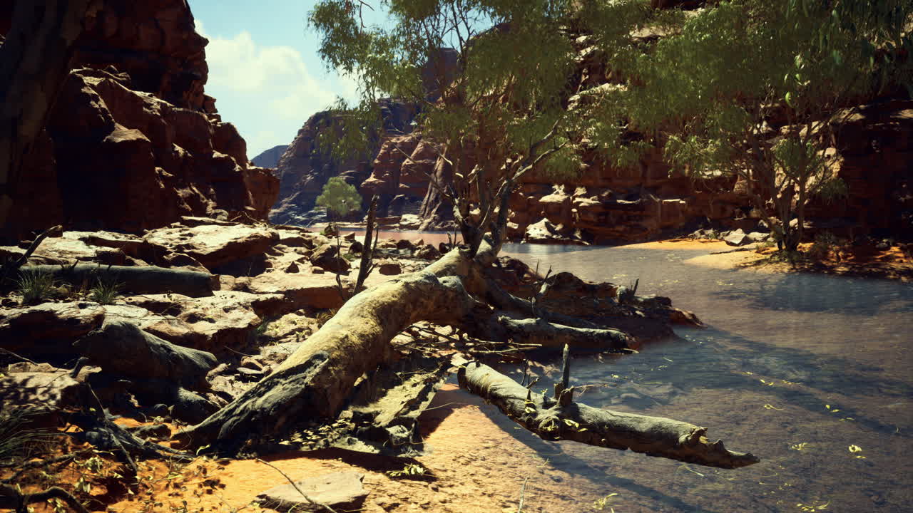 Serene riverbank with lush trees and rocky formations in afternoon light