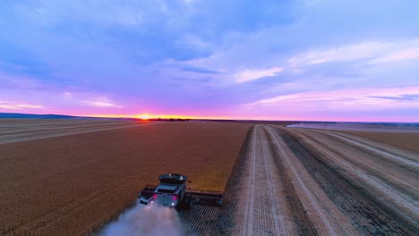 Cosechadora-Cosechando-Trigo-Al-Atardecer-En-El-Sur-De-Australia