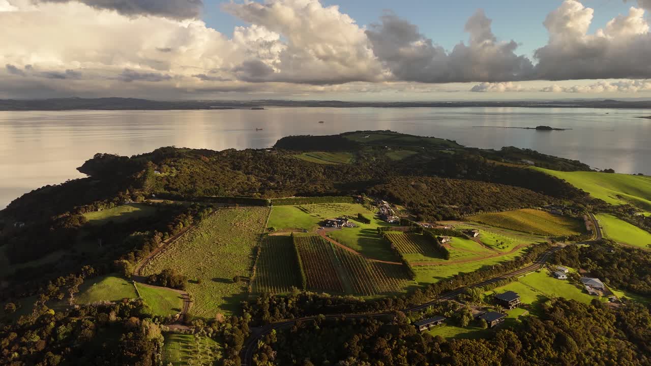 Panoramic aerial view over vineyards and houses on Waiheke Island, New Zealand