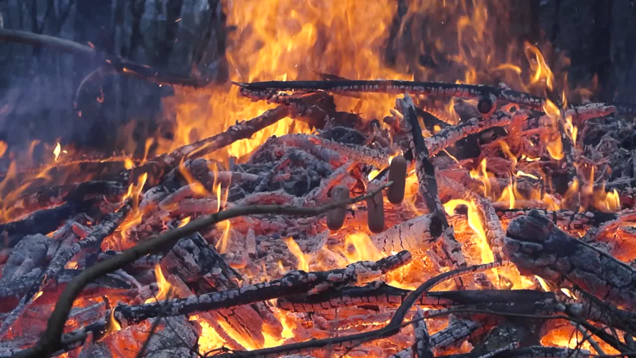 Close up or closeup footage of hotdogs or small sausages being grill on top of a campfire or bonfire that is burning twigs, branches and wood in slow motion with vibrant hot flames. Embers and sparks.