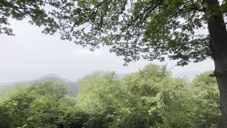 pan through the mountains of the siebengebirge in germany north rhine-westphalia with forests and trees