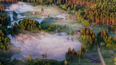 mist covers forest and lake during golden hour with trees and water glowing in soft sunlight, forest breathing atmospheric texture
