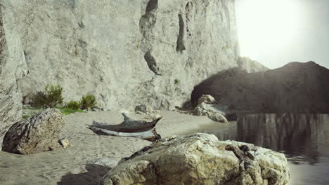 paisaje costero con madera a la deriva y rocas
