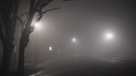 illuminated street lamps casting a warm glow over a foggy suburban street at night, enhancing the mysterious and atmospheric vibe of the quiet, deserted road lined with shadows and trees