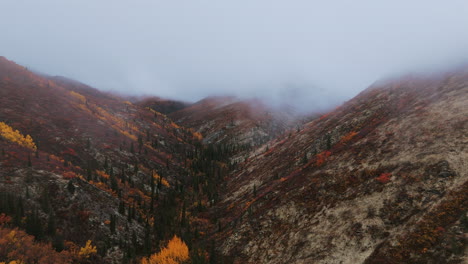 autumn landscape of the mountain valley near tombstone territorial park in yukon - aerial shot
