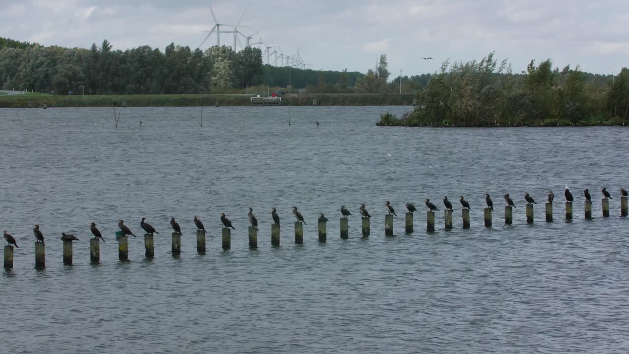 статический снимок