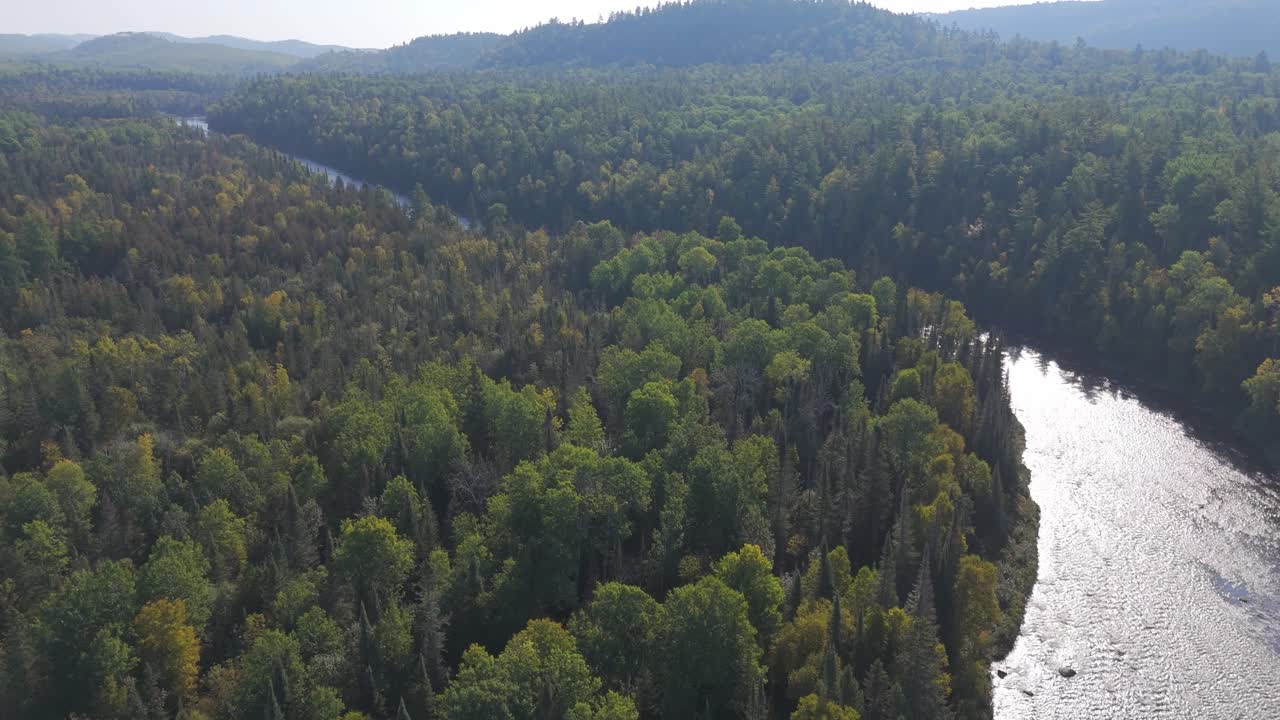 Dense forest with winding river in Minnesota Ontario boarder