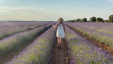 close up of blonde rural country girl in white dress walking back to camera through lavender field in spain