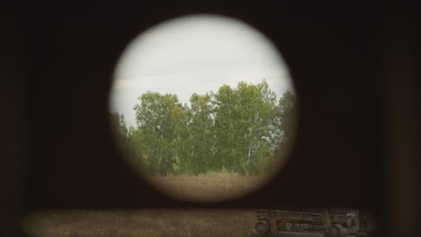 Warrior-looks-through-binoculars-surveying-birch-grove