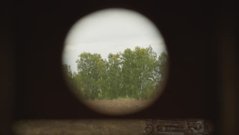 warrior looks through binoculars surveying birch grove