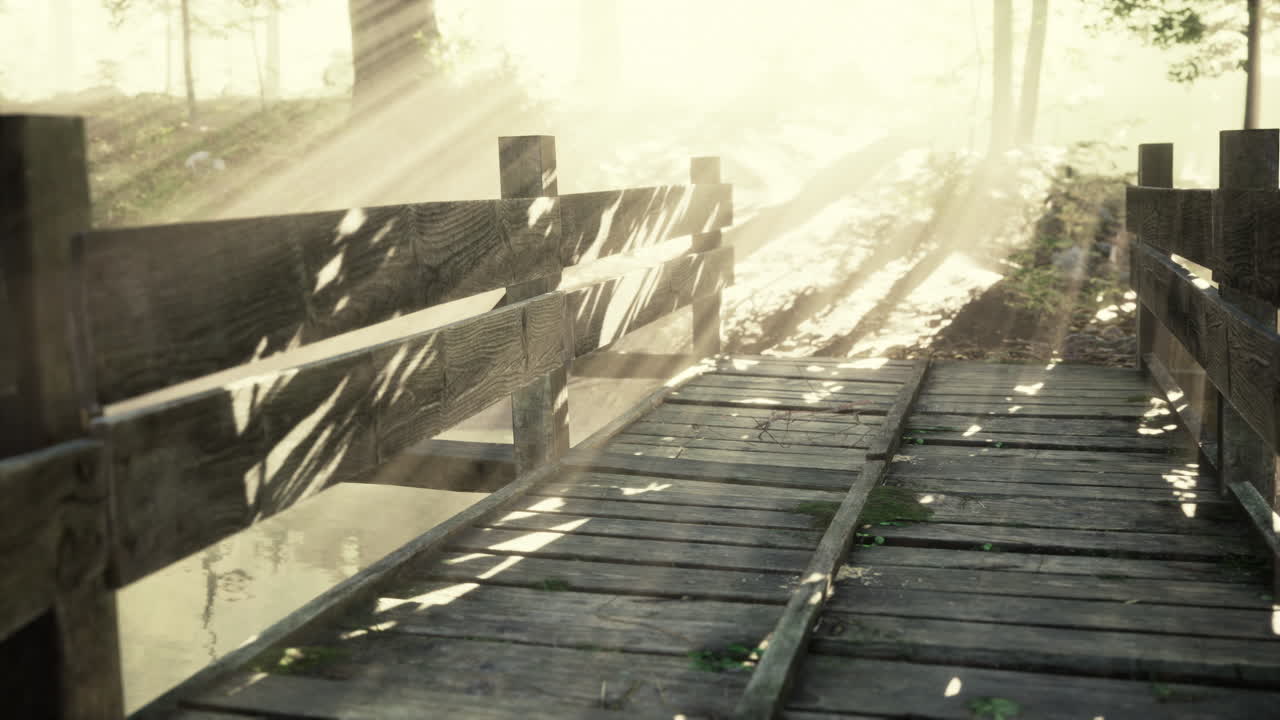 흐린 신비로운 숲으로 강을 가로지르는 목조 다리