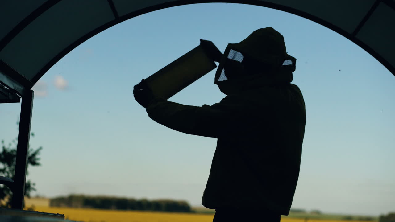 ⁇ 벌 키우는 사람 이  ⁇ 벌 을 점검 하고 있다