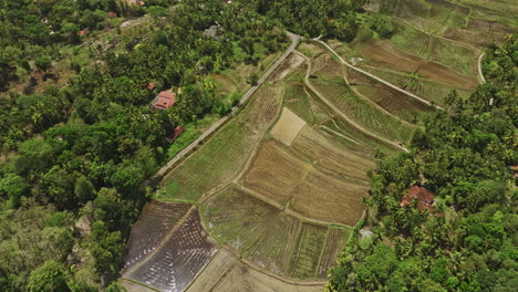 Algama-Len-Viharaya-Sri-Lanka-Aerial-v5-birds-eye-view-drone-flyover-farming-fields-in-rural-countryside-town,-tilt-up-reveals-traffics-on-the-expressway---Shot-with-Mavic-3-Cine---April-2023