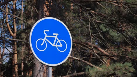 señal de ruta de bicicleta en una calle de la ciudad. señal de carretera azul bicicletas sólo actividades al aire libre en un día soleado. concepto de estilo de vida saludable.