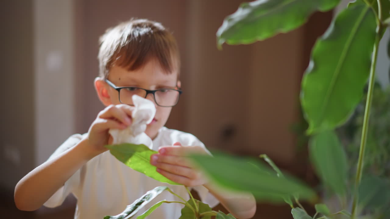 Boy wearing glasses caring for green indoor plant, gently touching leaves in natural light, child engaged in gardening activity, exploring nature, nurturing healthy houseplant environment