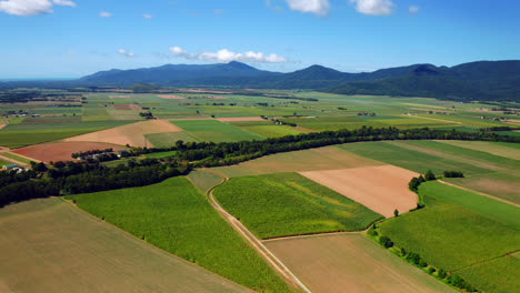 panoramic view over vibrant fields in the town of cairns, queensland, australia - aerial drone shot