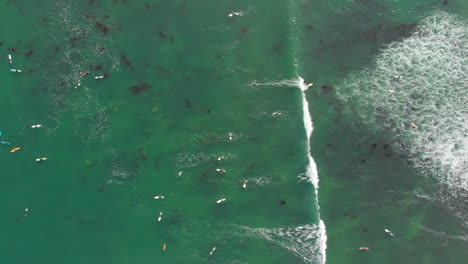 top down follow of surfer and wave coming in to shore