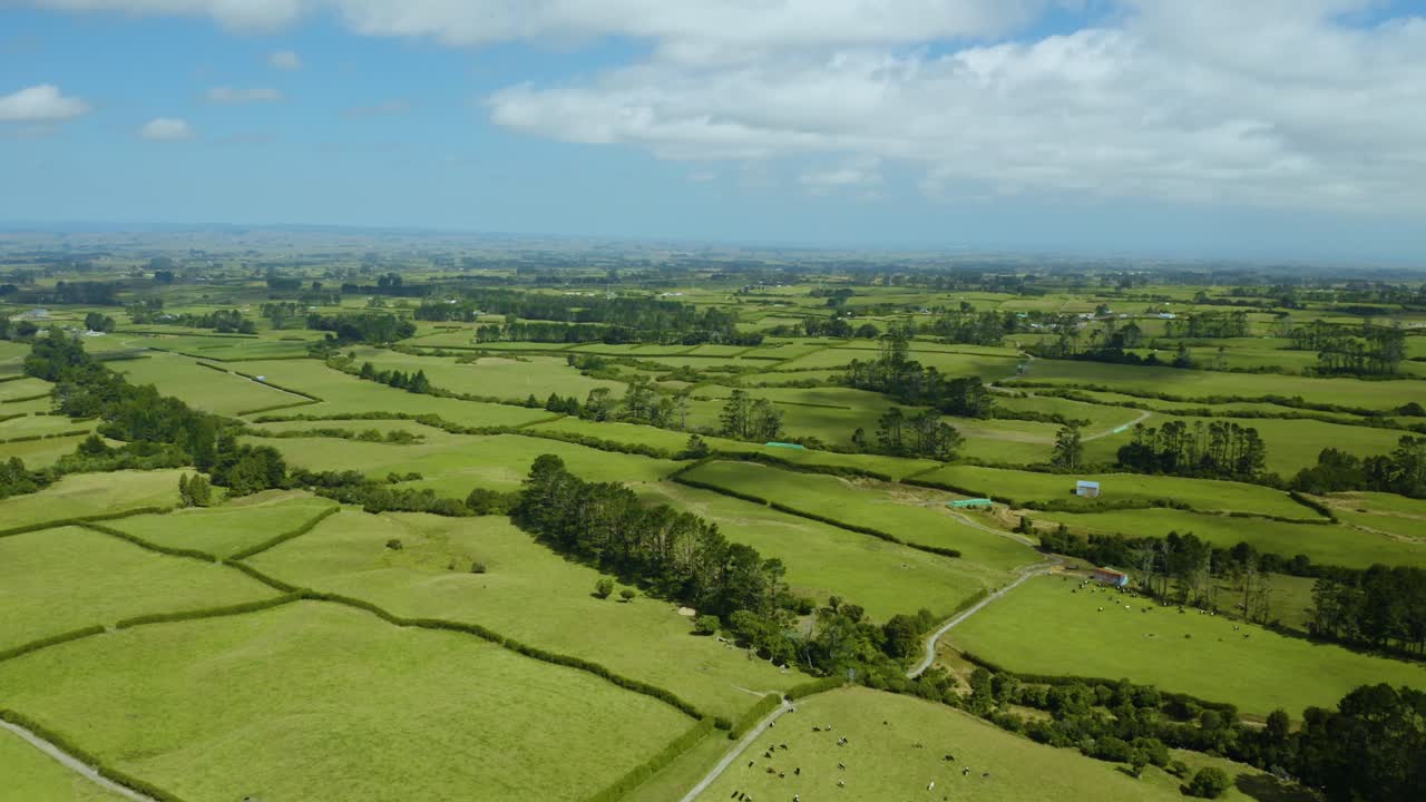 vastas tierras de cultivo verdes en el día de verano