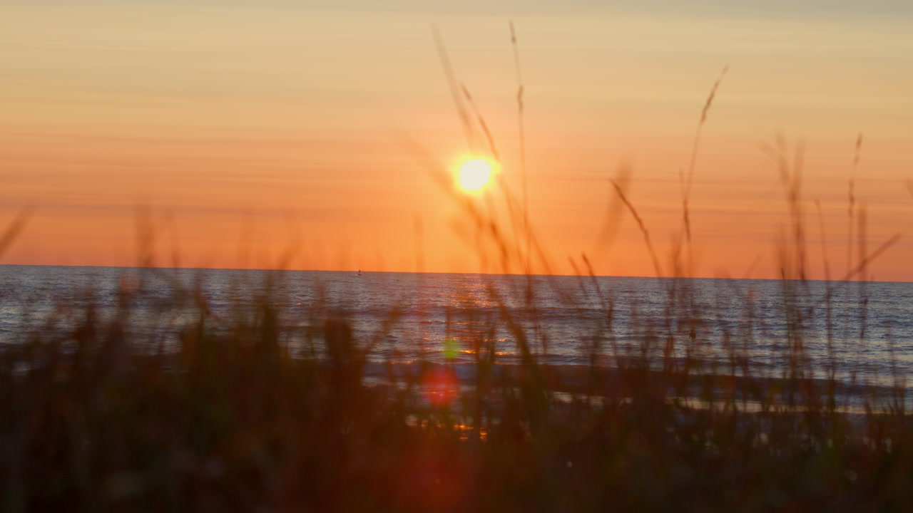 Drone aerial of sunrise on Lake Michigan with birds flying past the horizon, viewed through tall grass in the foreground on a calm and scenic morning.