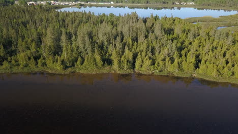 Toma-Aérea-Inclinándose-Hacia-Abajo-Sobrevolando-La-Costa-De-Un-Lago-Hacia-Un-Hermoso-Bosque-En-El-Norte-De-Ontario,-Canadá