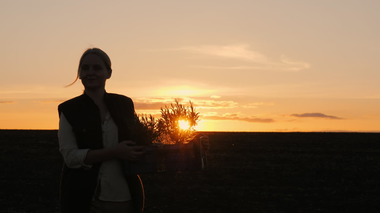 해가 지는 동안 식물 을 들고 있는 여자