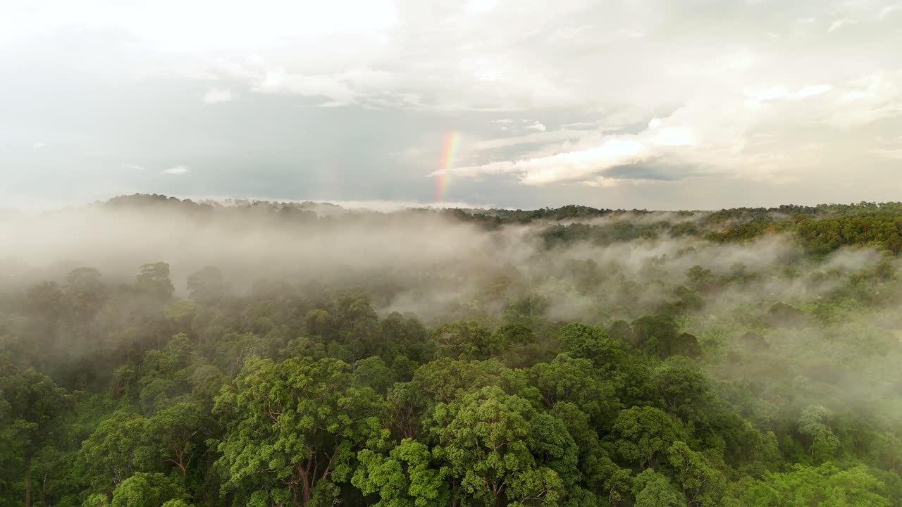 clouds and rainbows in the dense tropical forest