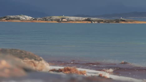 Wellen-Rollen-Auf-Den-Sandstrand,-Der-Mit-Algen-Und-Seetang-Bedeckt-Ist.-Ein-Schwarm-Möwen-Besetzt-Die-Kleine-Felseninsel-In-Ufernähe.