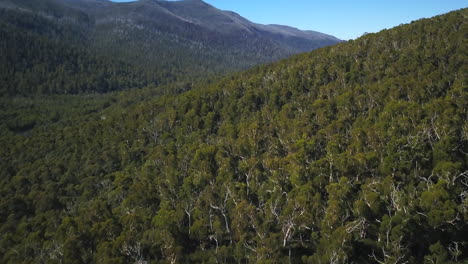 Perisher-Thredbo-Schneebedeckte-Berge-Von-Taylor-Brant-Film