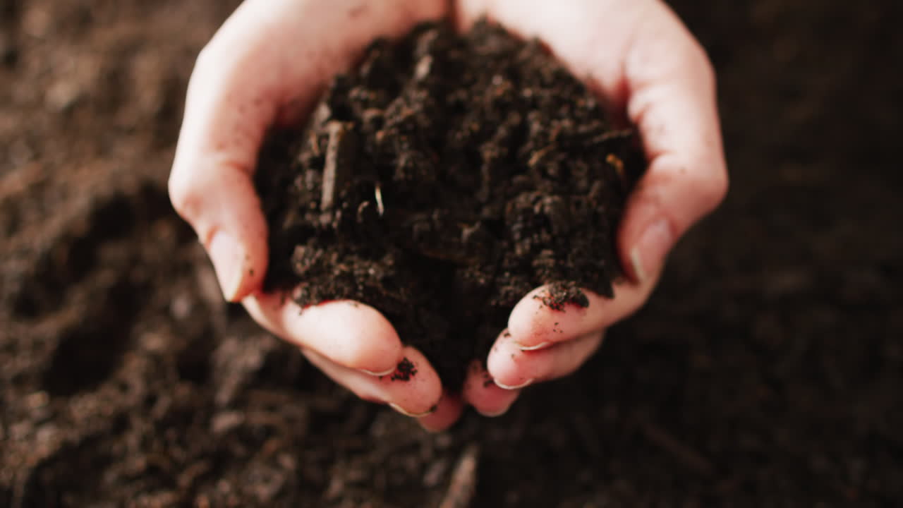 Video ravvicinato dall'alto di mani di persona caucasica che raccolgono terra scura e fertile
