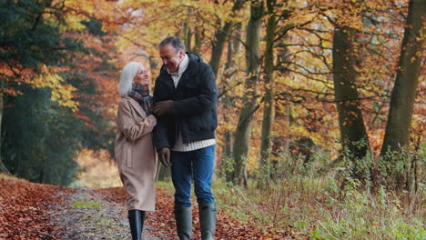 Liebevolles-älteres-Ehepaar-Im-Ruhestand,-Das-Gemeinsam-Arm-In-Arm-Den-Weg-In-Der-Herbstlichen-Landschaft-Entlang-Geht