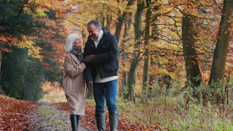 una pareja de ancianos enamorados y jubilados caminando brazos cruzados a lo largo de un camino en el campo de otoño juntos