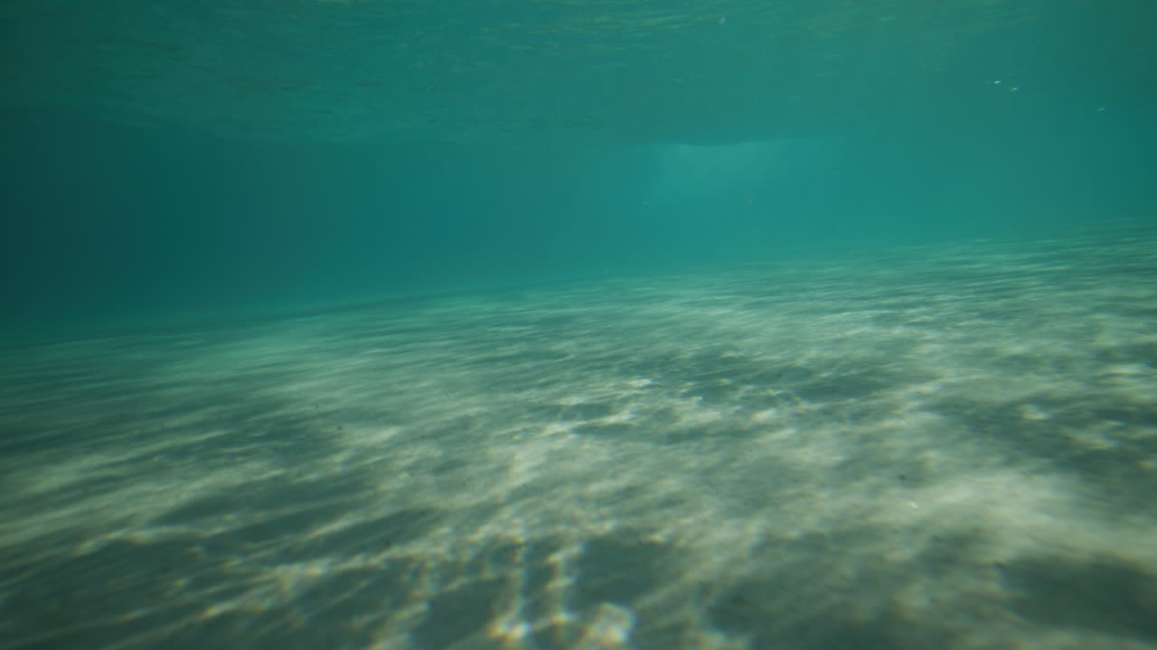 호주 바이런 베이 (byron bay) 에서 크리스탈처럼 은 물속에서 파도를 고 있는 서퍼 (surfer)