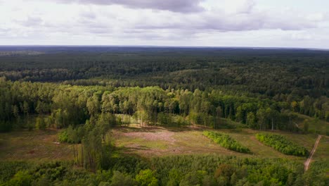 Vista-Aérea-Moviéndose-Hacia-Un-Enorme-Y-Extenso-Terreno-Forestal-De-Bosques