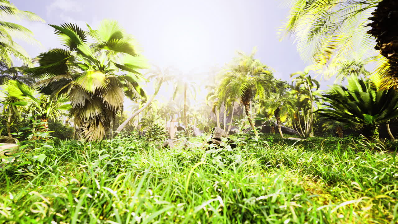 Lush tropical landscape with vibrant greenery under bright sunlight