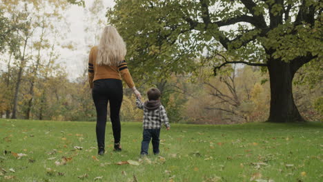 mom and son are walking in the autumn park