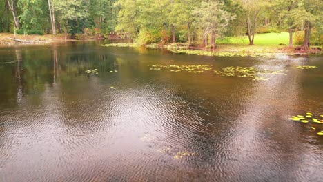 gulbene city pond and park