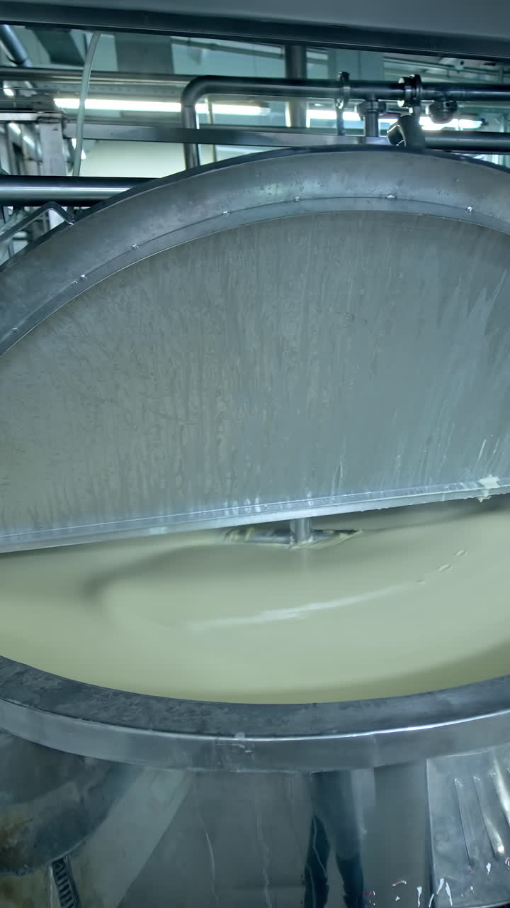 Big factory for making cheese. Producing dairy cheesemaking industry. Vertical video